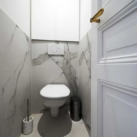 Large Luxury Flat Next To Champs Elysee *